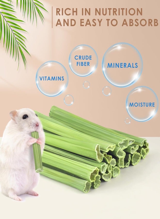 Bissap 25 PCS Guinea Pigs Chew Sticks, Natural Papaya Stems Bunny Chews Treats for Hamsters Chinchillas Small Animals Organic Molar Chewing Snack - Image 2